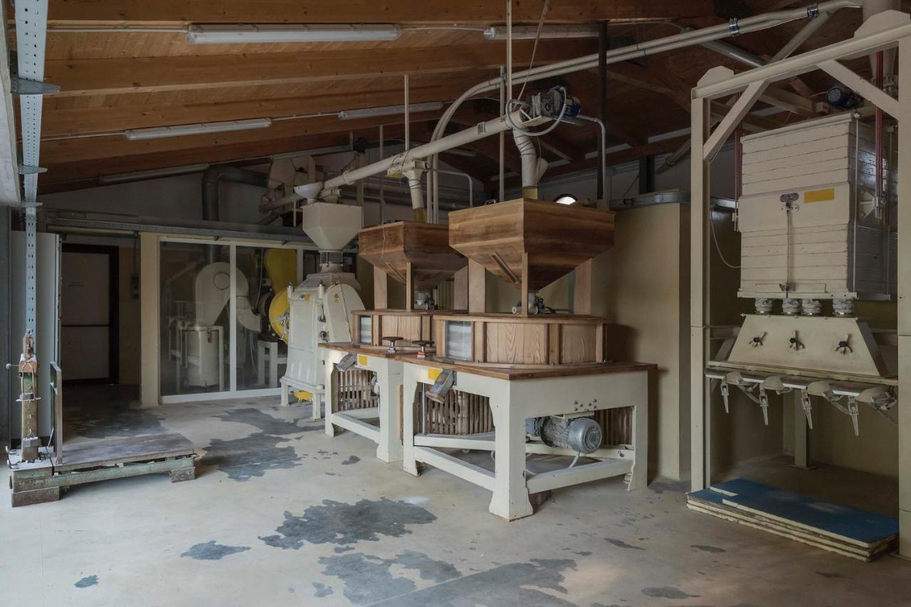 Mulino Bencivenga Villa Alvignano Ngoại thất bức ảnh
